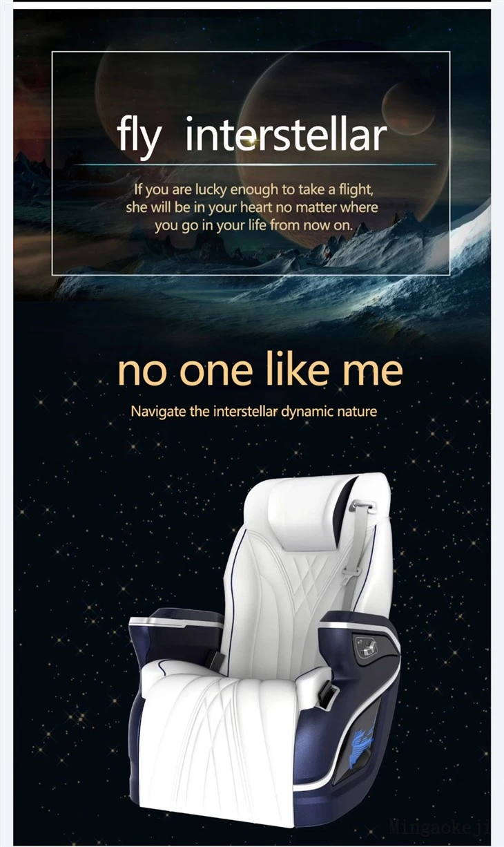 Vip Luxury Car Seat